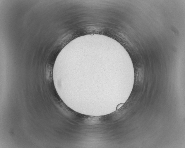 X0000115380138200912151447