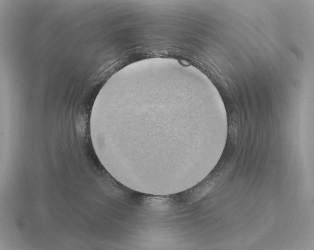 X0000115380139200912151447