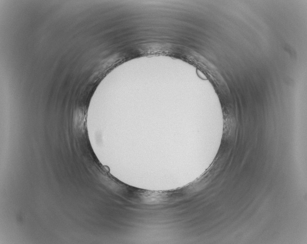 X0000115380142200912151447