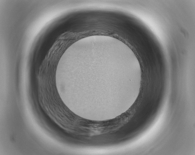 X0000115380143200912151447