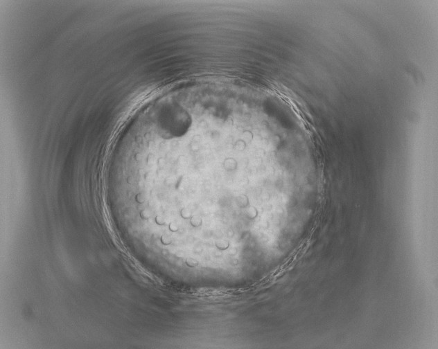 X0000115380145200912151446