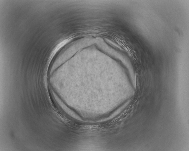 X0000115380147200912151446