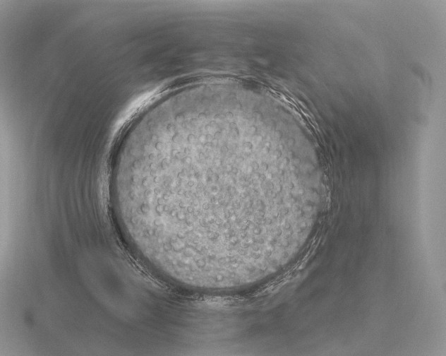 X0000115380149200912151446