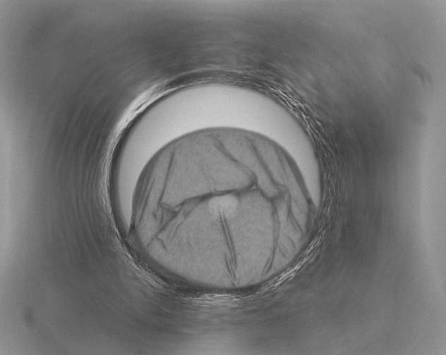 X0000115380150200912151446