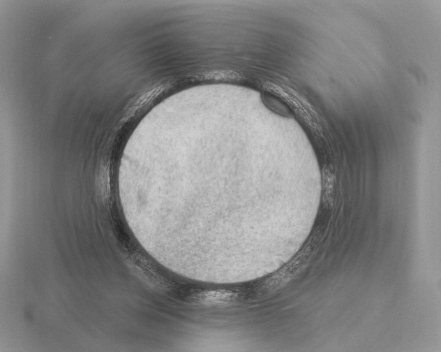 X0000115380158200912151446