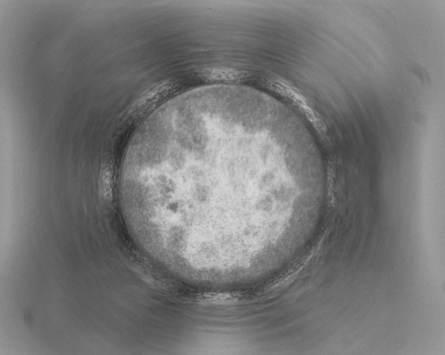 X0000115380161200912151446