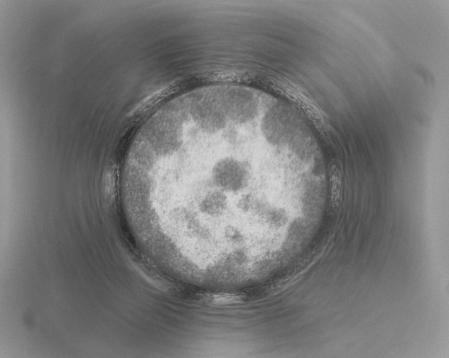 X0000115380165200912151446