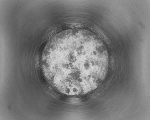 X0000115380169200912151446