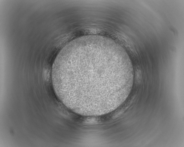 X0000115380177200912151446