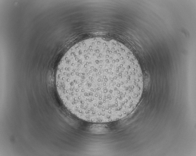 X0000115380179200912151446