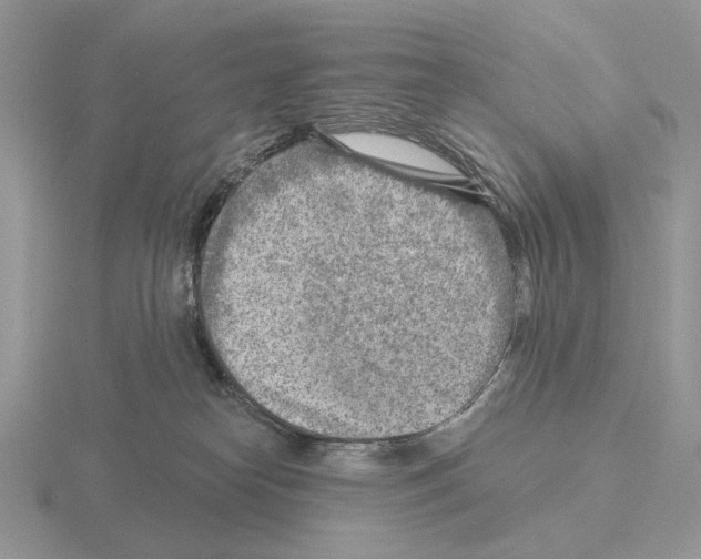 X0000115380182200912151447