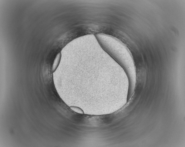 X0000115380186200912151447