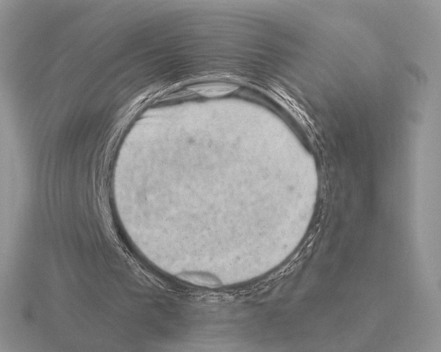 X0000115380193200912151446