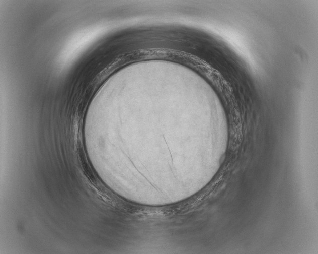 X0000115380194200912151446