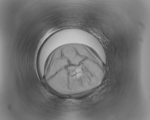 X0000115380195200912151446