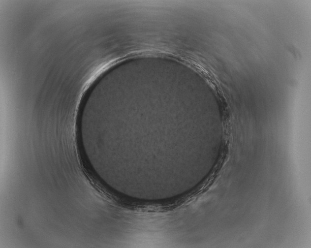 X0000115380196200912151446