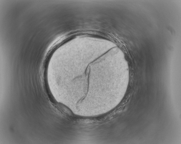 X0000115380197200912151446