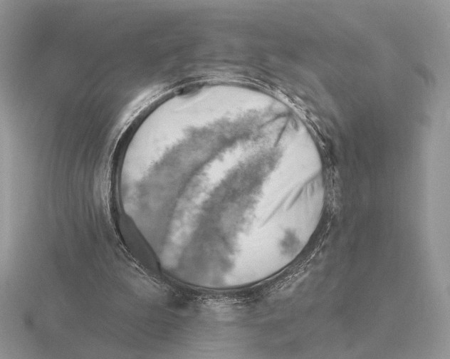 X0000115380199200912151446