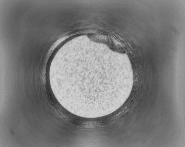 X0000115380200200912151446