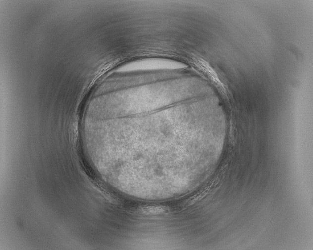 X0000115380202200912151446