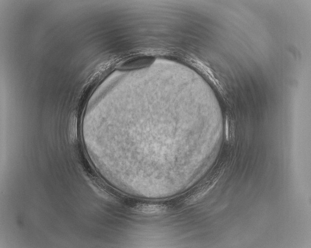 X0000115380205200912151446