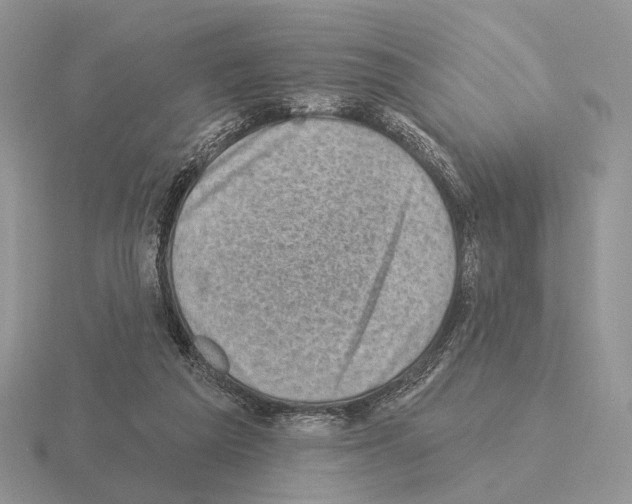 X0000115380209200912151446