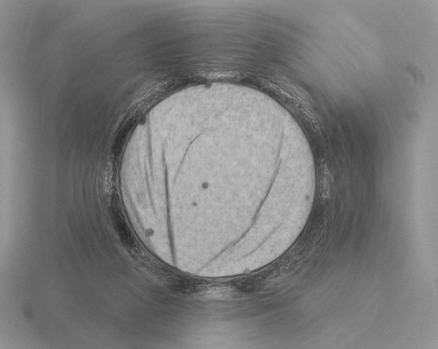 X0000115380210200912151446