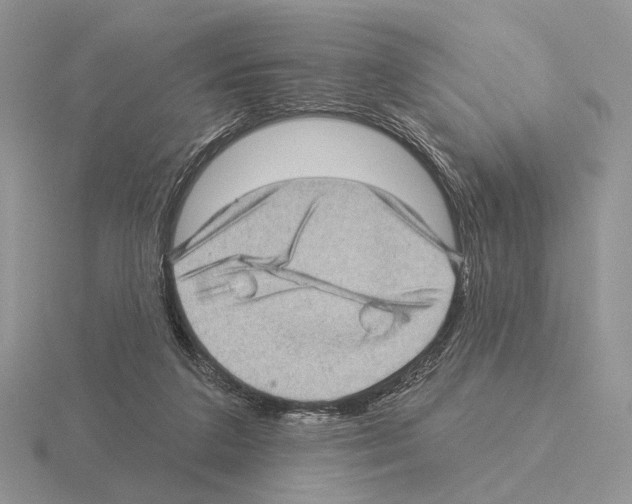 X0000115380211200912151446