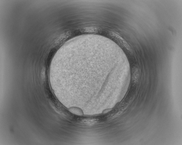 X0000115380213200912151446