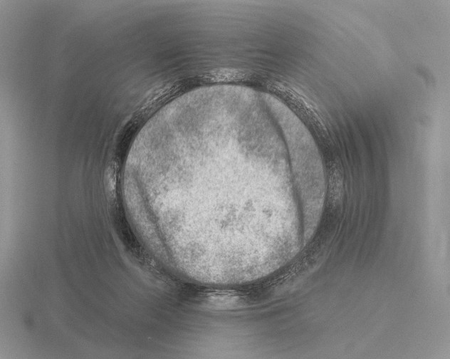 X0000115380214200912151446