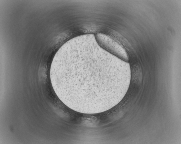 X0000115380215200912151446