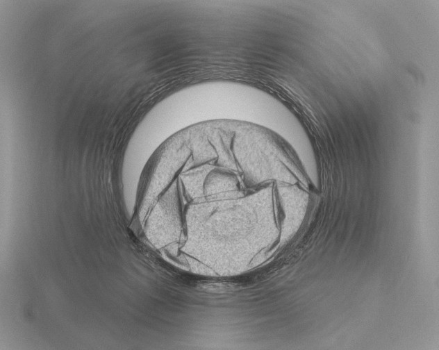 X0000115380221200912151446