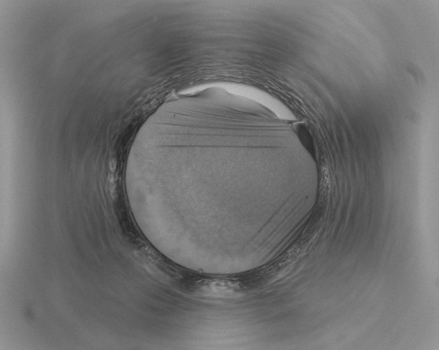 X0000115380223200912151446