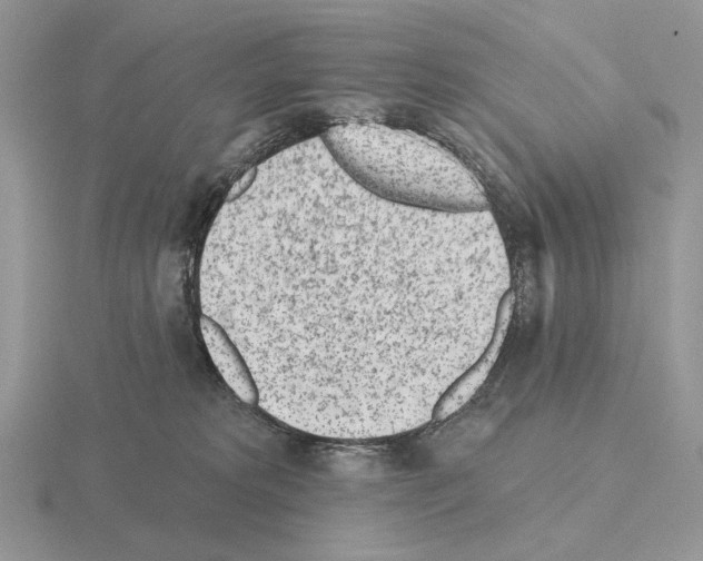 X0000115380229200912151446