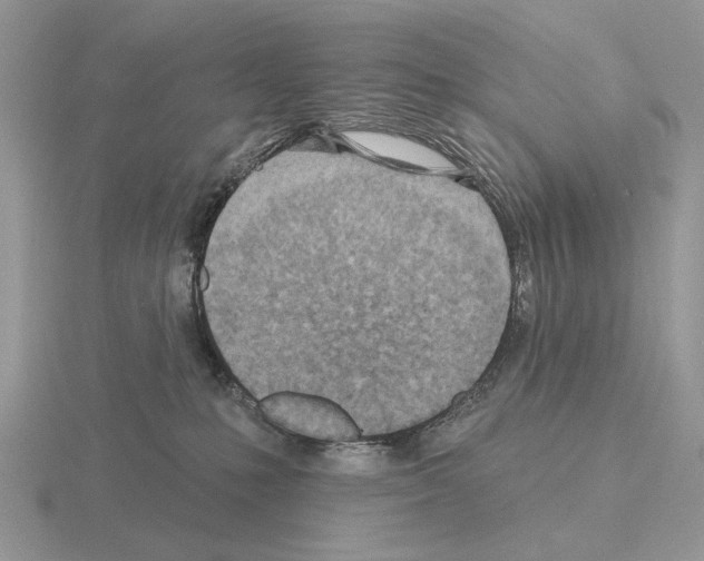 X0000115380231200912151446