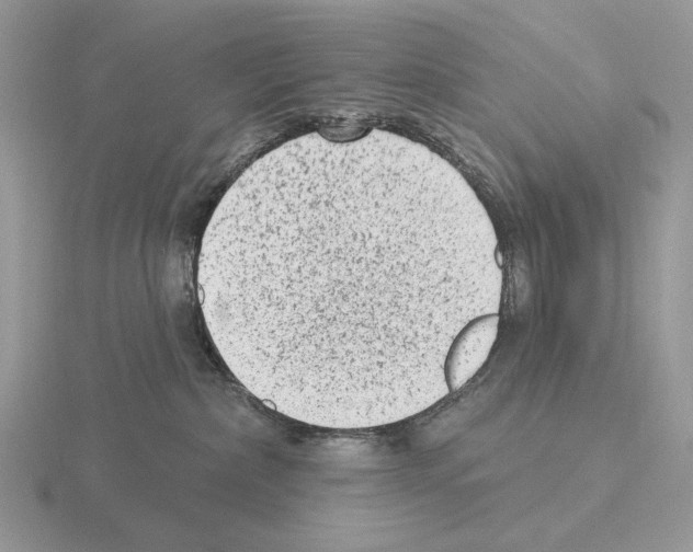 X0000115380236200912151445