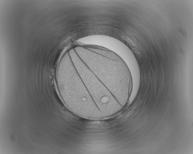 X0000115380237200912151445