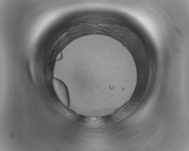 X0000115380239200912151445