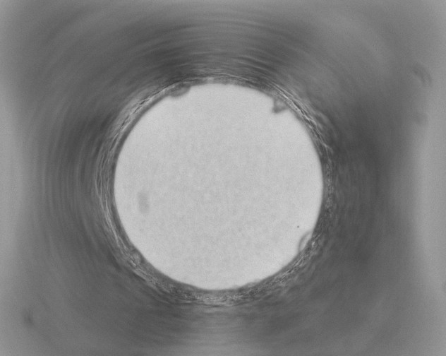 X0000115380241200912151445