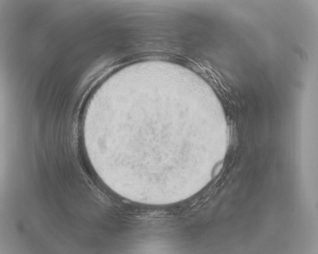 X0000115380243200912151445