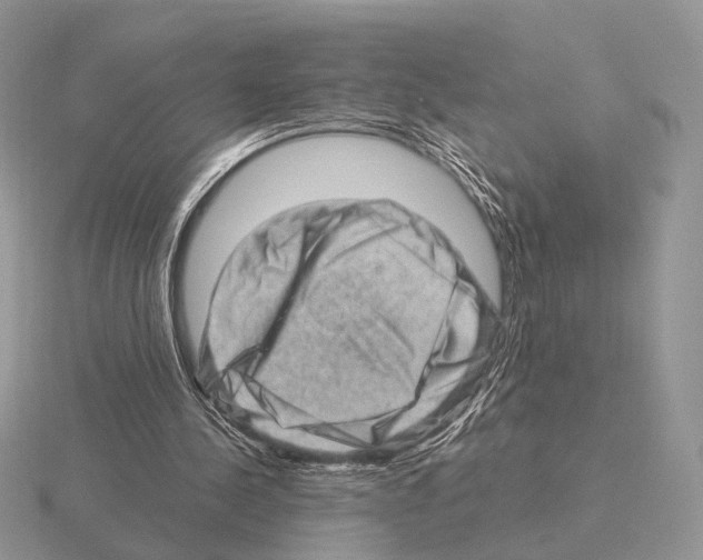 X0000115380244200912151445