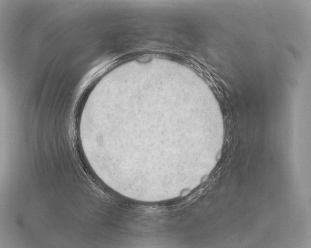 X0000115380245200912151445