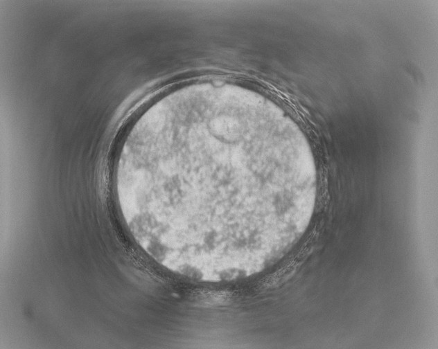 X0000115380247200912151445