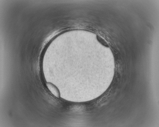 X0000115380248200912151445