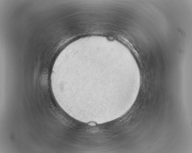 X0000115380249200912151445