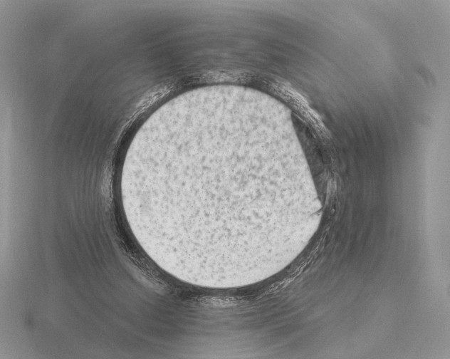 X0000115380250200912151445