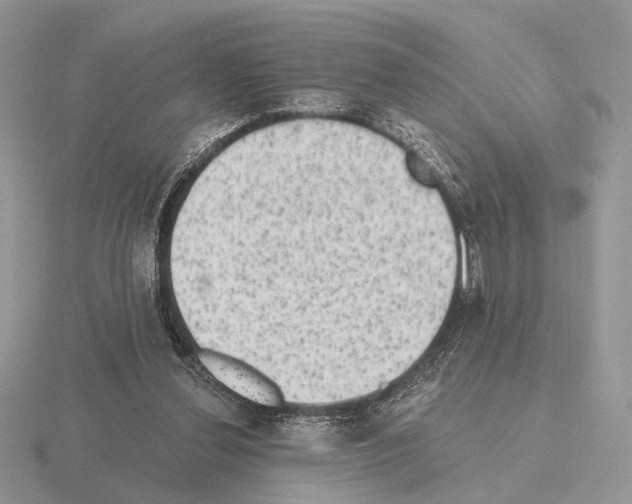 X0000115380252200912151445