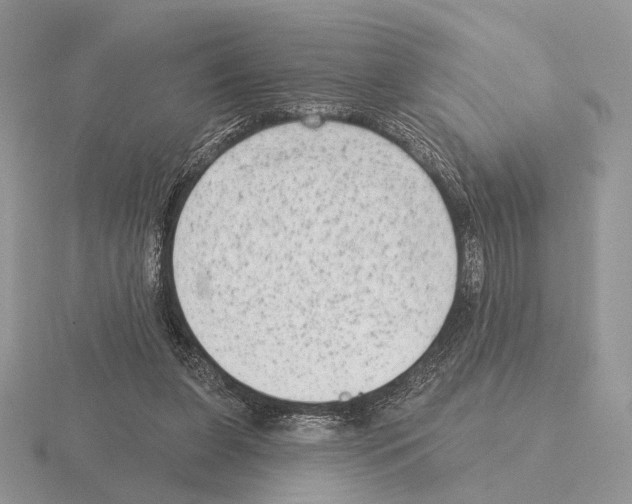 X0000115380255200912151445