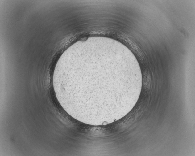 X0000115380261200912151445