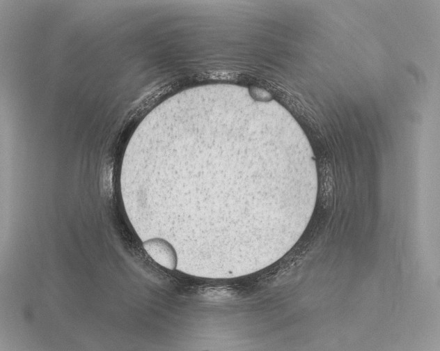 X0000115380262200912151445